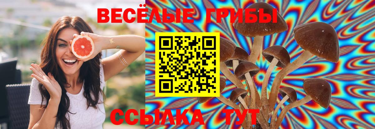 Ростов-на-Дону  Галлюциногенные грибы мицелий  Вход с VPN 