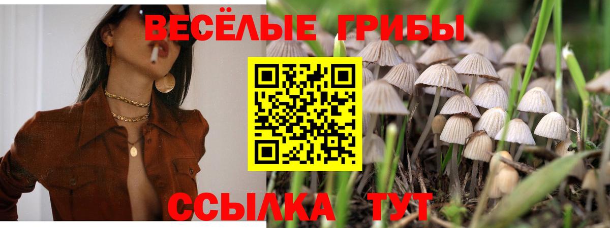 Псилоцибиновые грибы MAGIC MUSHROOMS Ростов-на-Дону
